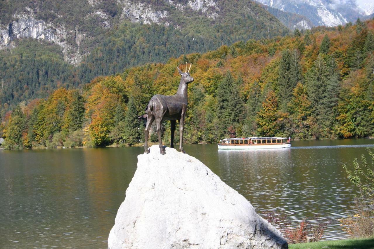 Apartment Ravnik Brod 13 Bohinj Dış mekan fotoğraf