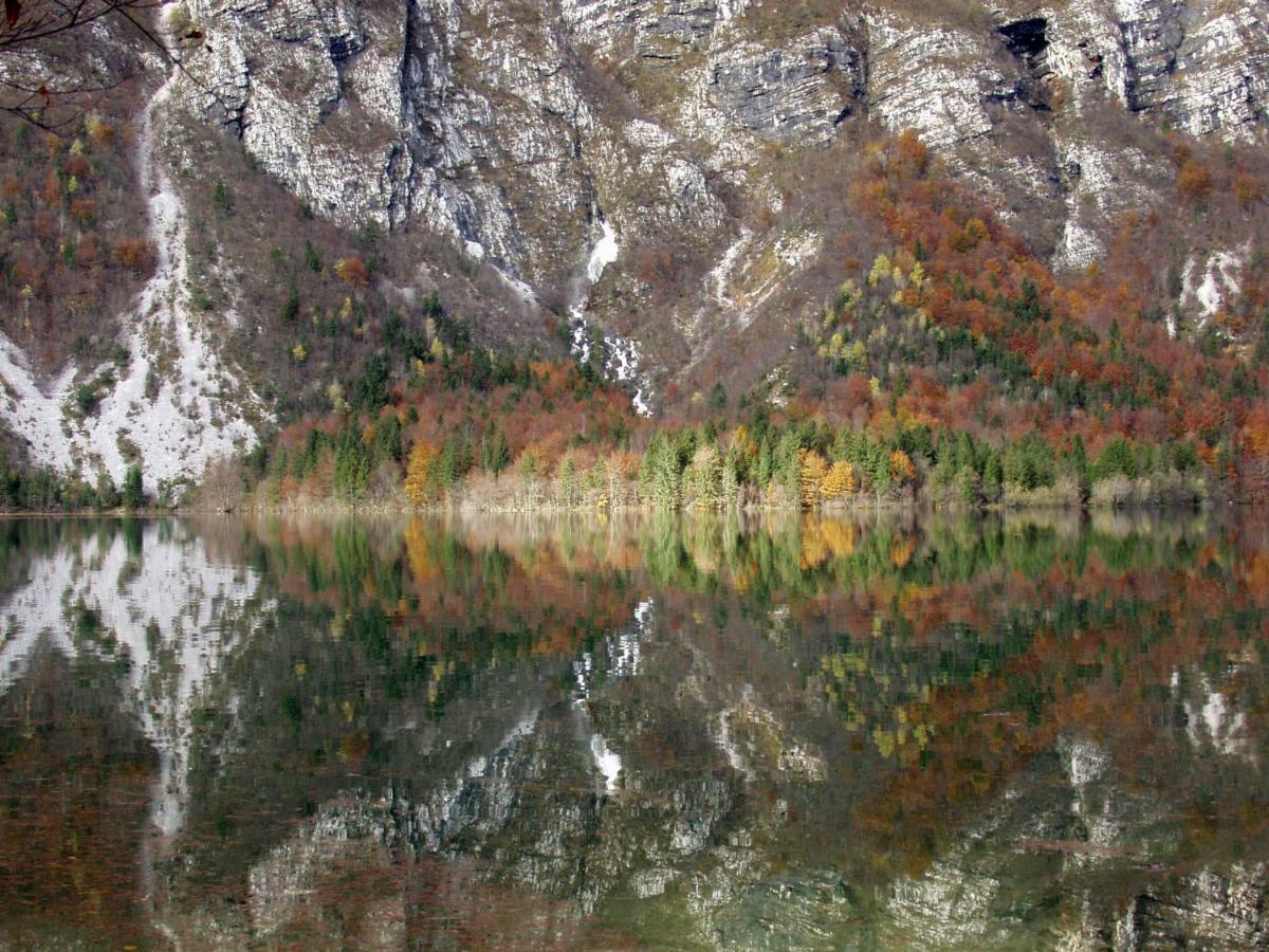 Apartment Ravnik Brod 13 Bohinj Dış mekan fotoğraf