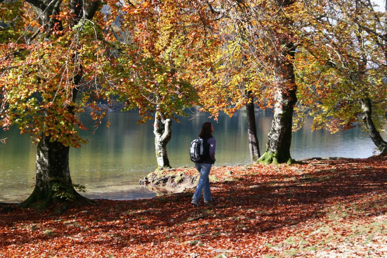 Apartment Ravnik Brod 13 Bohinj Dış mekan fotoğraf